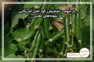 راز سوم – تشخیص کود اصل آمریکایی از نمونه‌های تقلبی