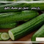 راز پنجم - جدول دوز مصرف دقیق
