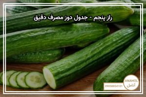 راز پنجم – جدول دوز مصرف دقیق