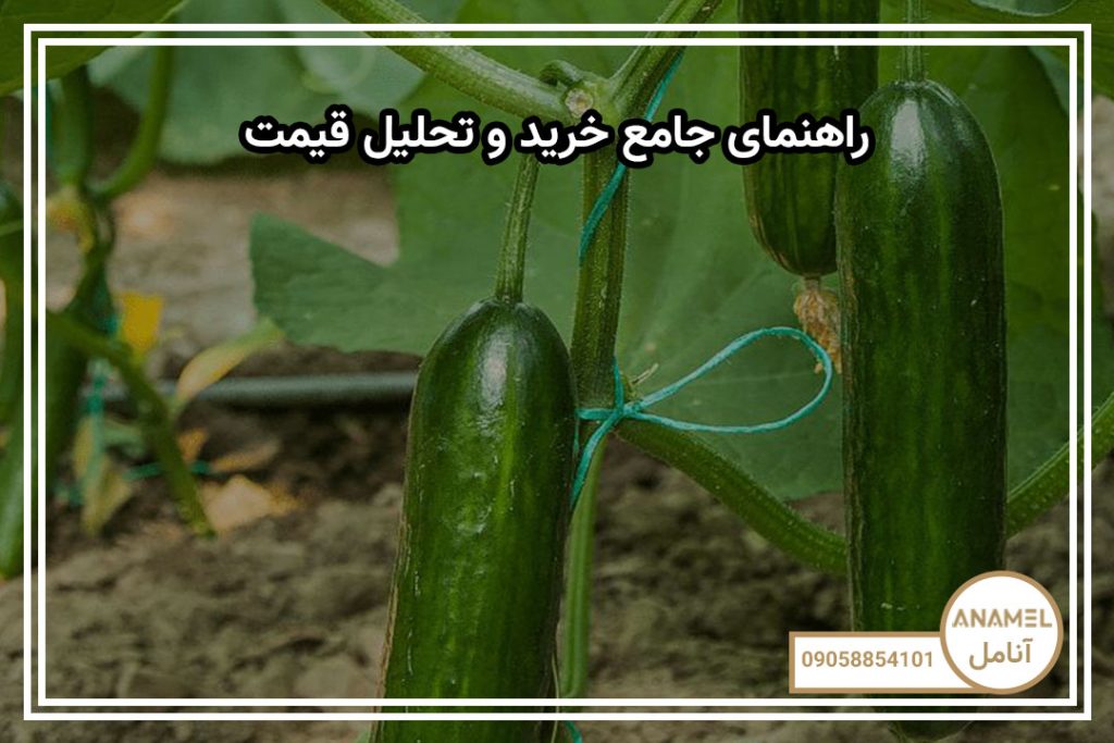راهنمای جامع خرید و تحلیل قیمت
