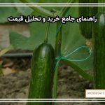 راهنمای جامع خرید و تحلیل قیمت