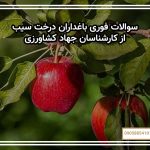سوالات فوری باغداران درخت سیب از کارشناسان جهاد کشاورزی