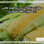 سوالات متداول درباره سه هفته طلایی (از مشاوران جهاد کشاورزی)