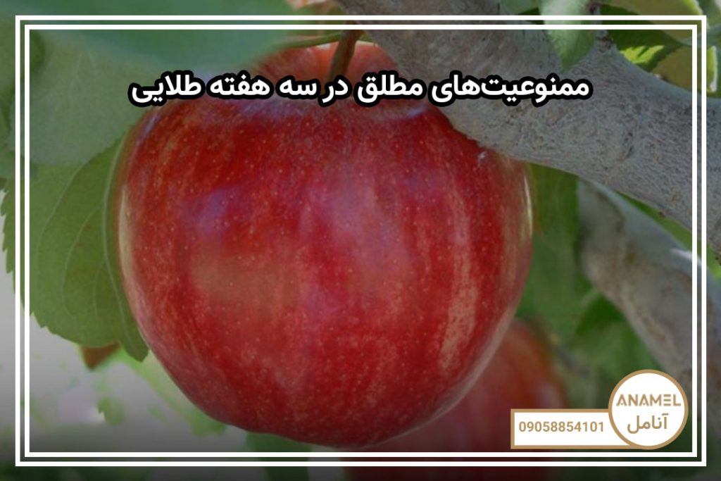 ممنوعیت‌های مطلق در سه هفته طلایی
