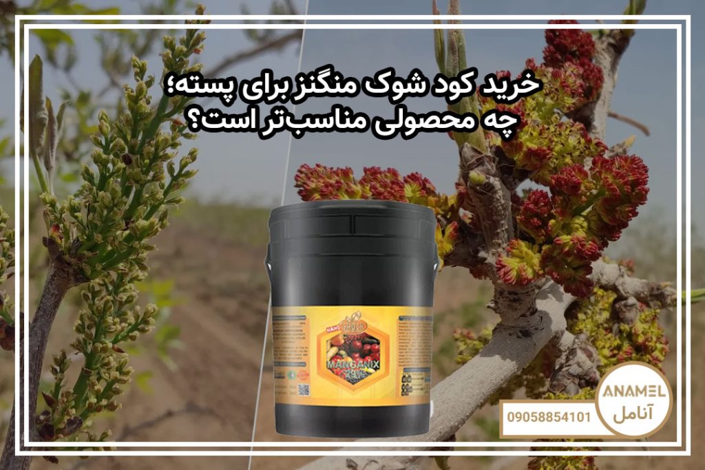 خرید کود شوک منگنز برای پسته؛ چه محصولی مناسب‌تر است؟