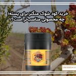 خرید کود شوک منگنز برای پسته؛ چه محصولی مناسب‌تر است؟