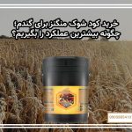 خرید کود شوک منگنز برای گندم؛ چگونه بیشترین عملکرد را بگیریم؟