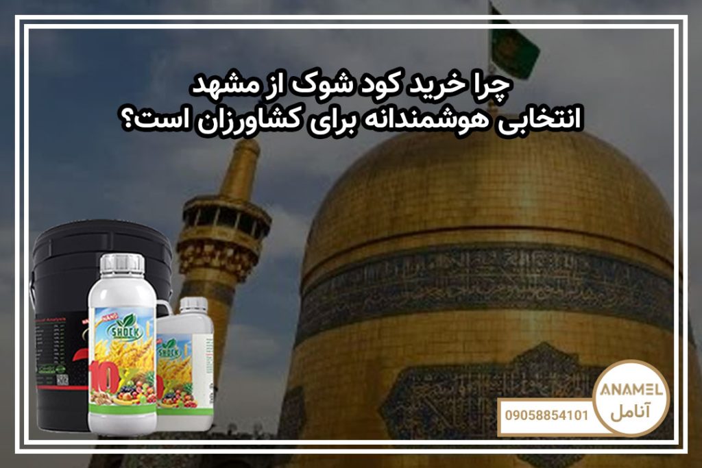 چرا خرید کود شوک از مشهد انتخابی هوشمندانه برای کشاورزان است؟