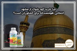 چرا خرید کود شوک از مشهد انتخابی هوشمندانه برای کشاورزان است؟